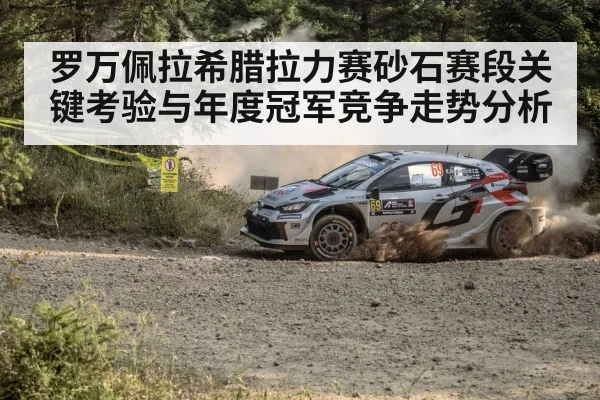 rally car gravel stage dust（mksports）